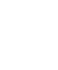 Escudo Levante UD